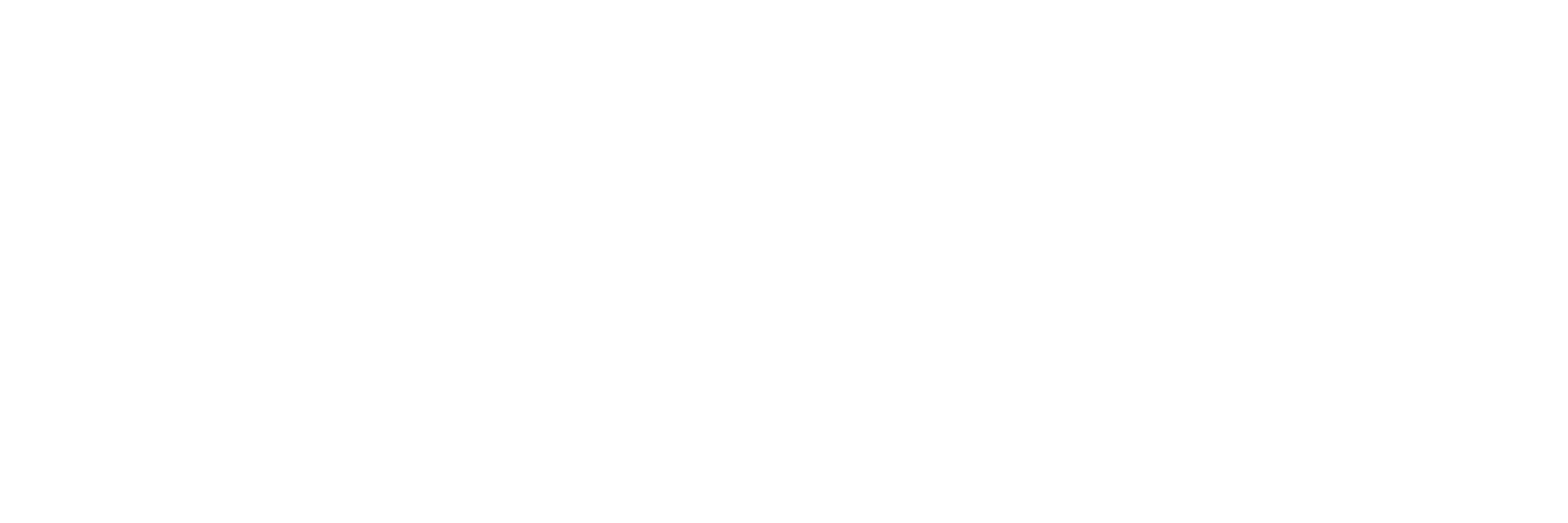 Logo-Joris-groot-PNG-W